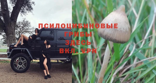 твердый Волоколамск