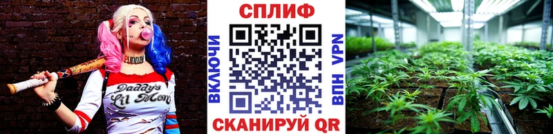 Купить закладки  Великие Луки  Бошки Шишки SATIVA & INDICA 